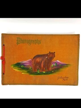 Vintage 70s Yellowstone Park Bear Photos In Album - Brown